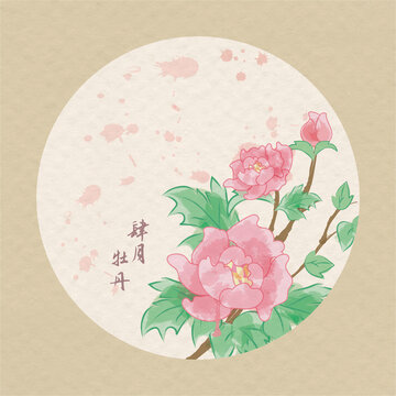十二月時令花之牡丹