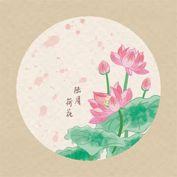 十二月時(shí)令花之荷花