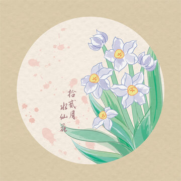 十二月時(shí)令花之水仙花