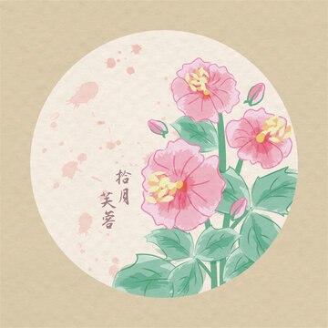 十二月時令花之芙蓉花