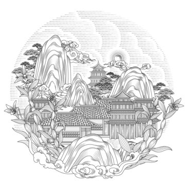 鐵皮石斛插畫