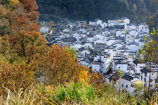 山村秋色