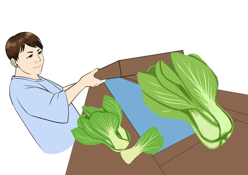 蔬菜