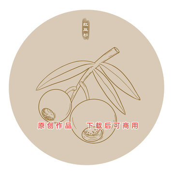 線描紅豆杉