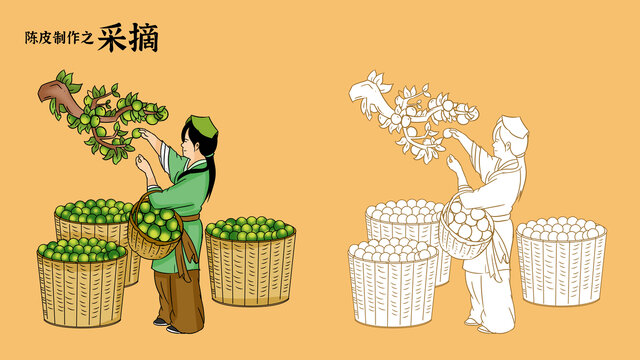 采摘
