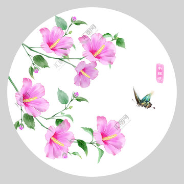 木槿花