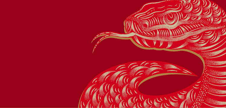 蛇背景藝術(shù)設(shè)計(jì)