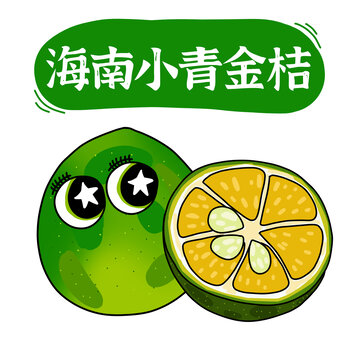 海南小青金桔插畫