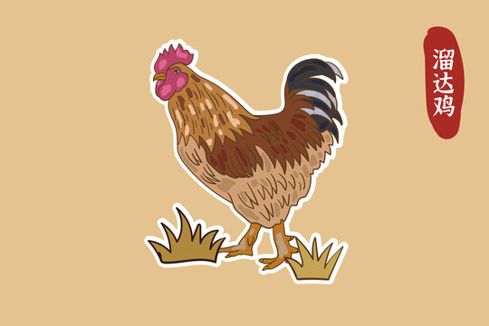 溜達(dá)雞插畫