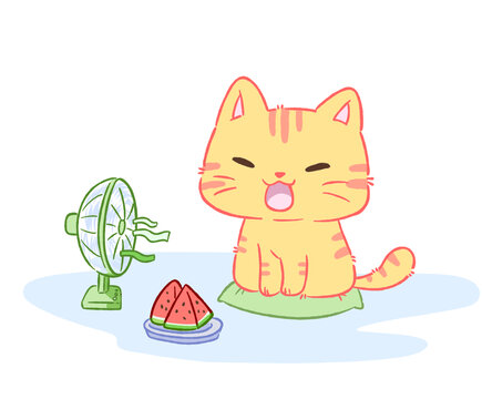 可愛夏季貓咪