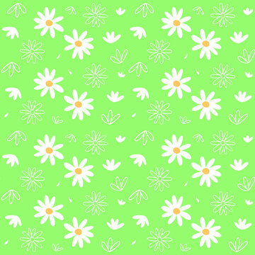 小雛菊