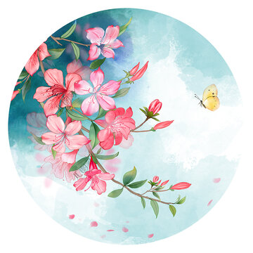 水彩花卉杜鵑花