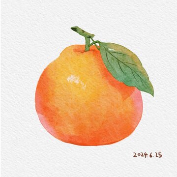 橘子免扣PSD