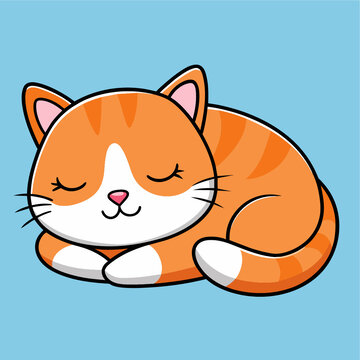 小貓