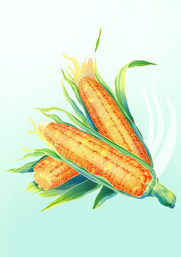 國潮風(fēng)玉米插畫