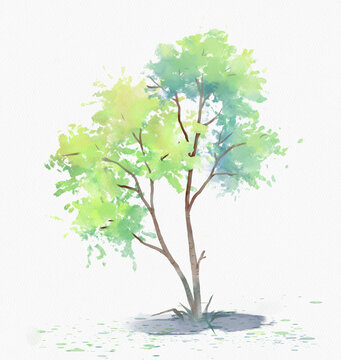 一組樹(shù)