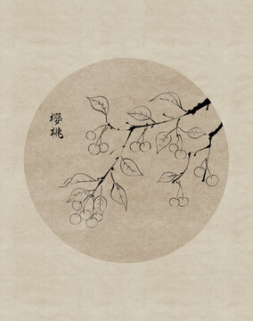 水墨櫻桃線稿