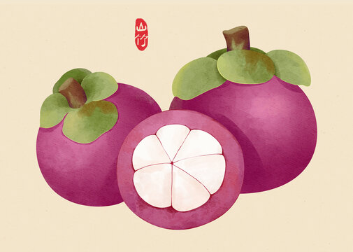 山竹插畫