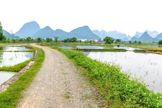 山水田園道路