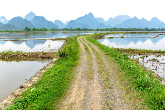 山水田園道路