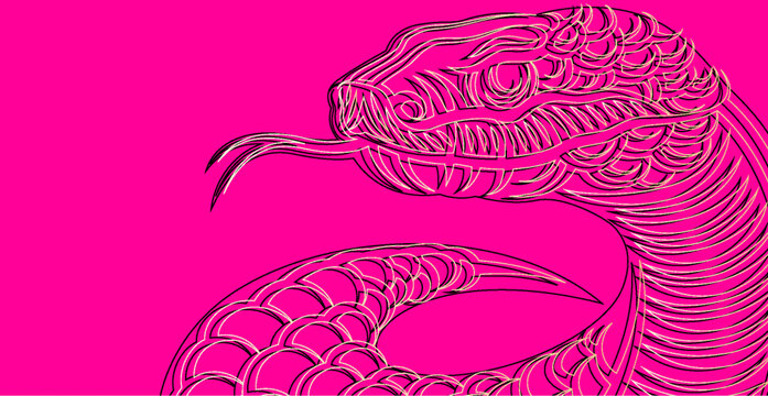 蛇插畫(huà)