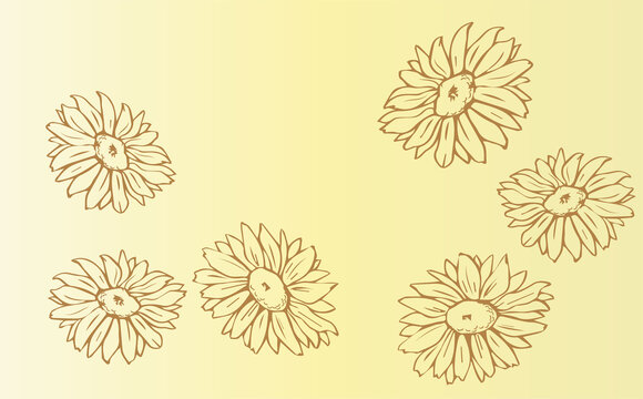 菊花素材