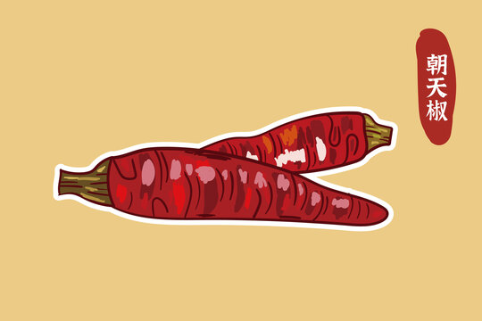 朝天椒