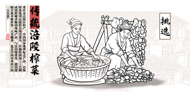 涪陵榨菜線描圖
