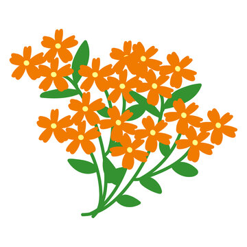 橙色小花矢量插畫