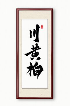 川黃柏