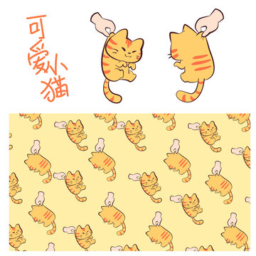 可愛被提起的小貓咪