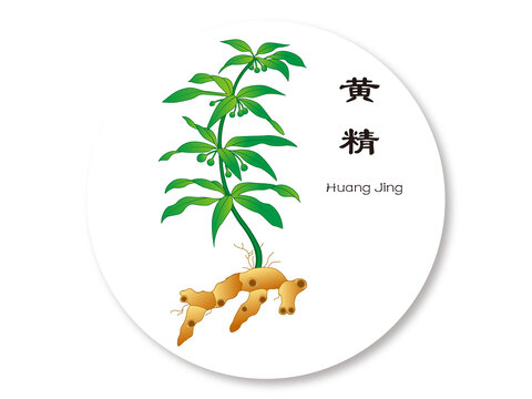 黃精