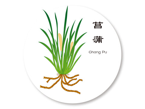 菖蒲