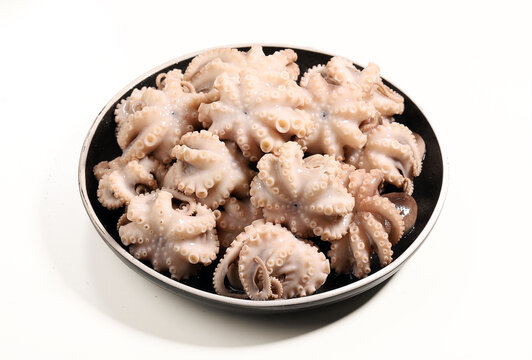 八爪魚