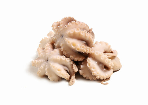 新鮮八爪魚