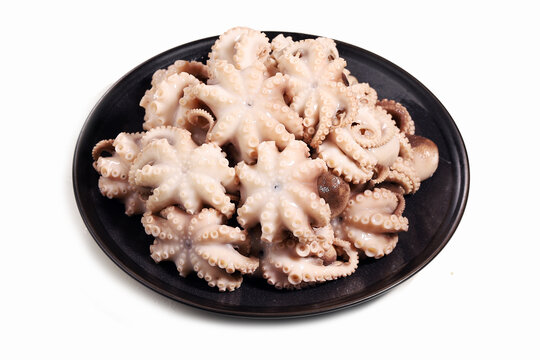 冰鮮八爪魚