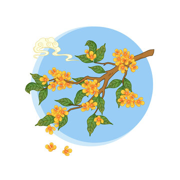 手繪桂花矢量插畫