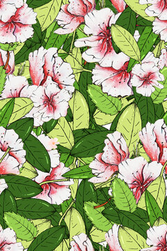 綠植花卉