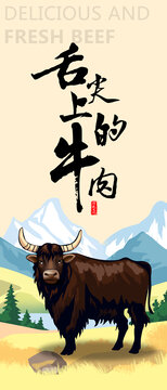 牦牛插畫