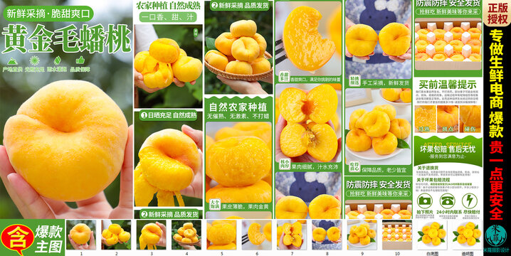 黃金毛蟠桃詳情頁