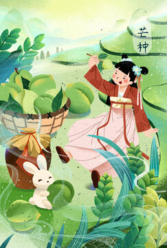 24節(jié)氣芒種