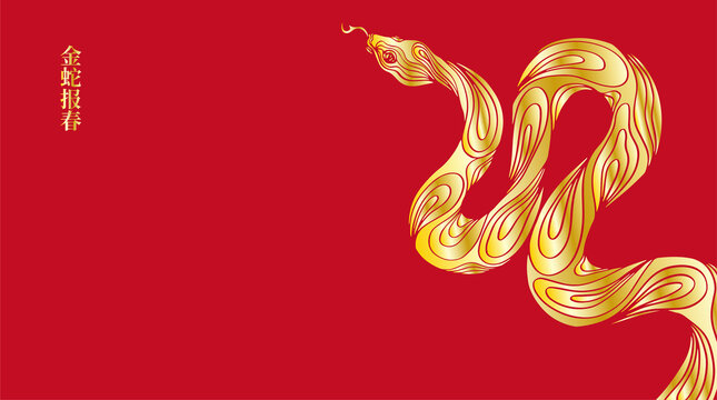 蛇年
