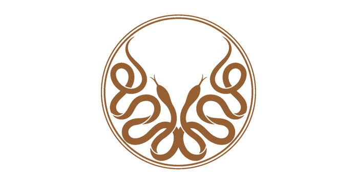 蛇設(shè)計(jì)