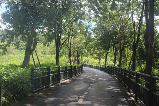 中山市金鐘湖公園景區(qū)