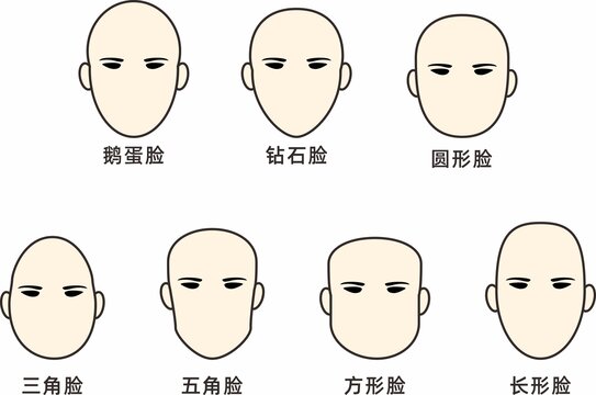 職場(chǎng)禮儀人臉面部
