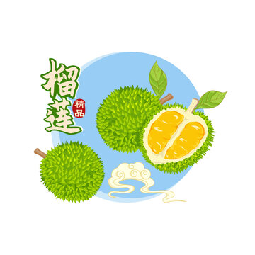 榴蓮水果矢量插畫