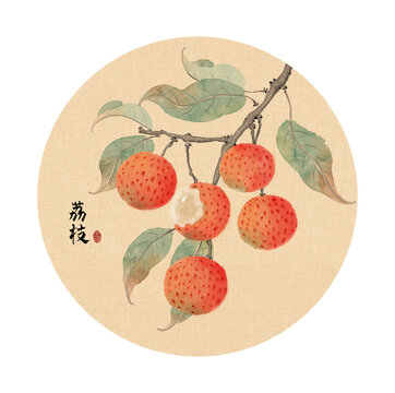 荔枝插畫