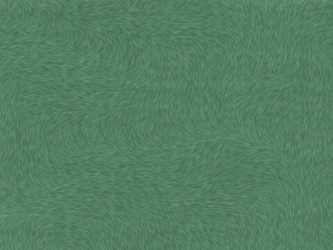 綠色毛發(fā)貼圖