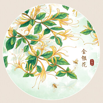 原創(chuàng)手繪水彩風金銀花插畫
