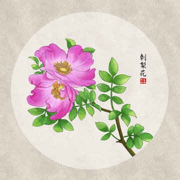 手繪刺梨花